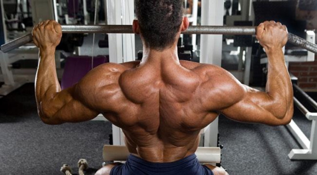 Lats (How To Train The Back)