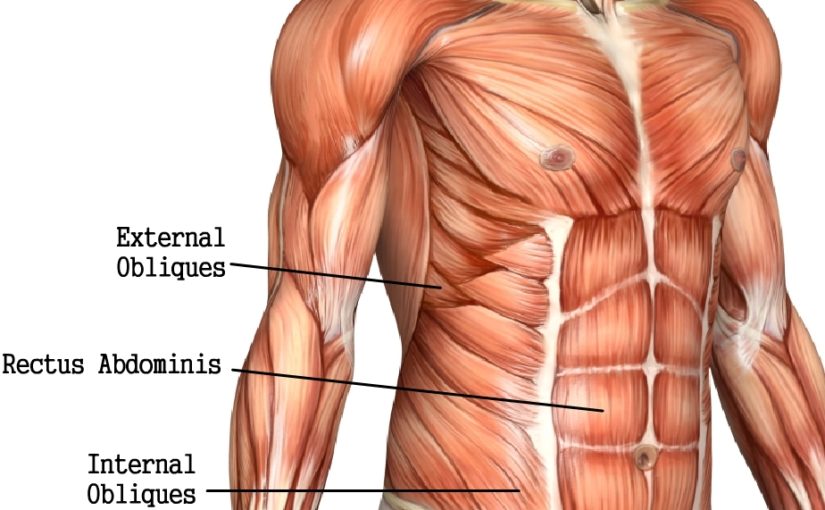 Abdominal Training: The Right Way