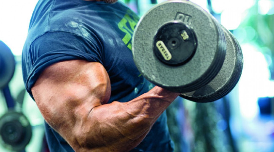 The Bicep Blaster Workout